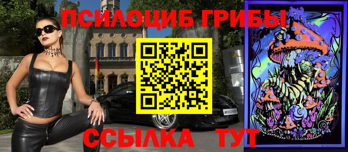Галлюциногенные грибы Psilocybe Торжок
