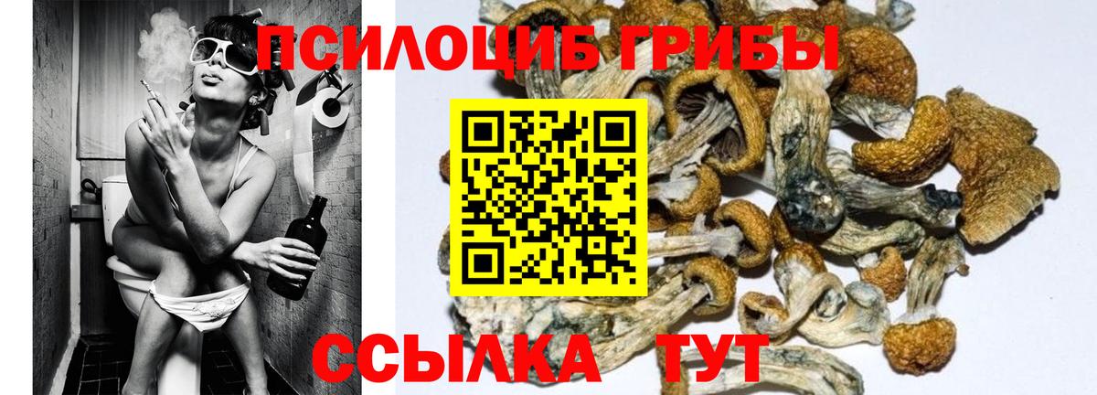 Торжок  Псилоцибиновые грибы GOLDEN TEACHER  Вход с VPN  хочу наркоту  Галлюциногенные грибы MAGIC MUSHROOMS 